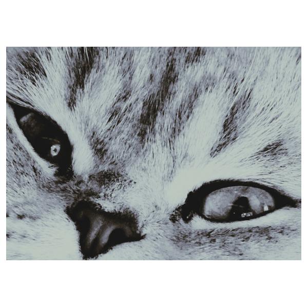 PHOTO84, CLUB, 84 , LUBERON